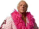 *Ric Flair_m*